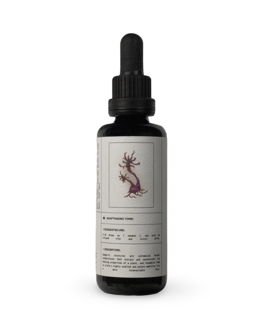 Moss Drops | Sea Moss, Shilajit, Ashwagandha