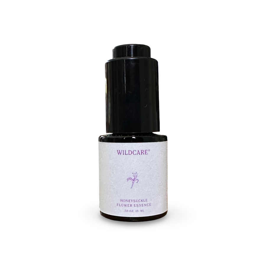 Honeysuckle Flower Essence | Inner Homecoming + Blossoming in Alignment