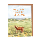 Assorted Greeting Cards