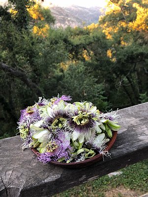 Comfort | Lemon Balm, Passionflower, Rose