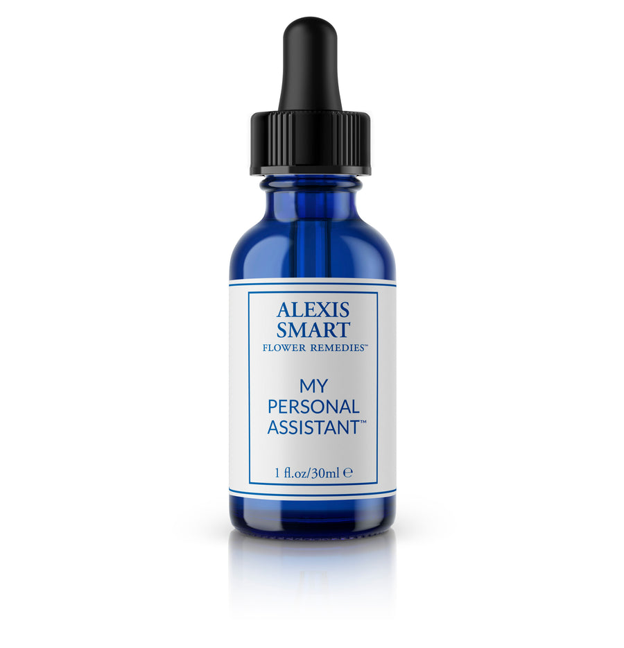 My Personal Assistant | energy