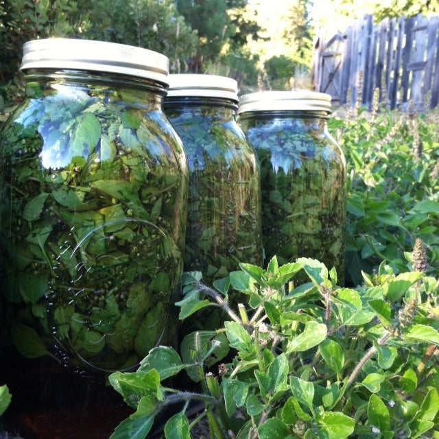 Adapt | Tulsi, Ashwagandha, Burdock